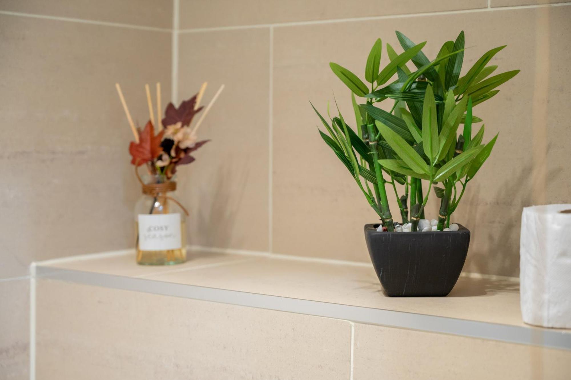 Bloomsbury City Escape Flat 1 伦敦 外观 照片